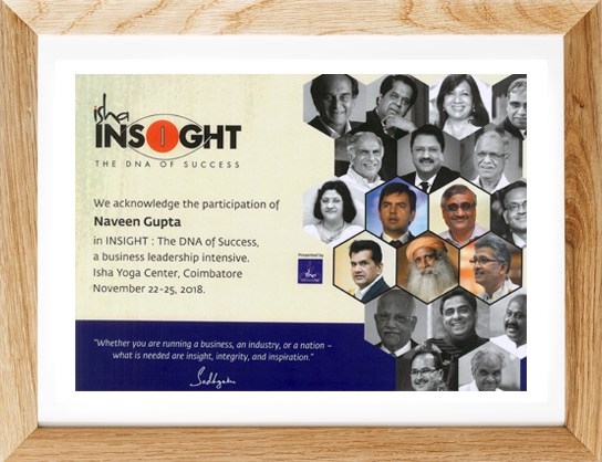 Participation in Insight
